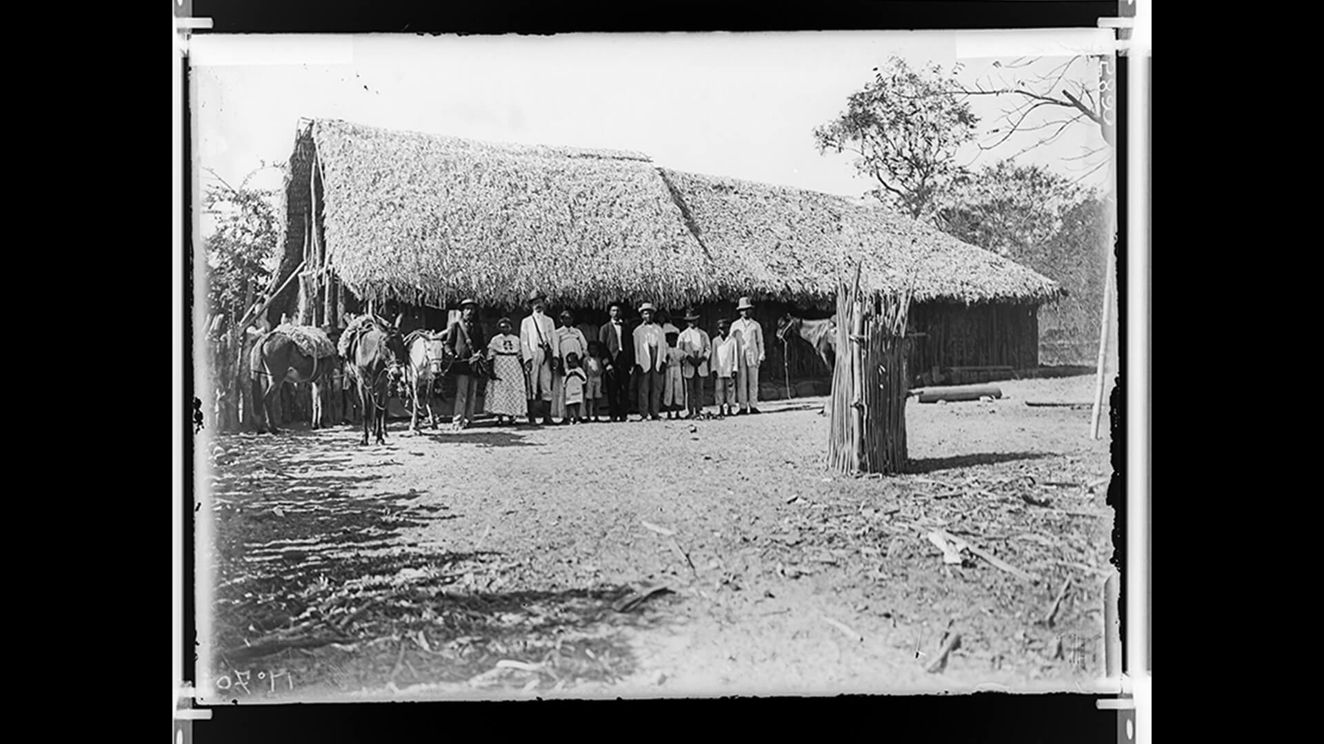 Reprodução de fotografia, ambiente rural com 