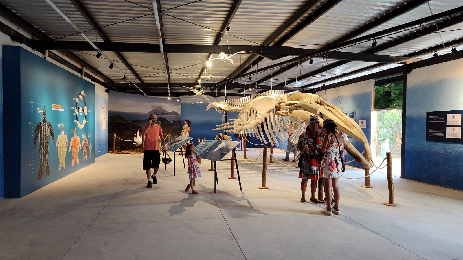 3.	Sala do Centro Albatroz, mostrando visitantes diante de um esqueleto de baleia exposto, suportes de texto explicativos presos ao chão e ao fundo um grande painel em degrade azul.